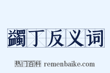 蠲丁反义词是什么意思的图片